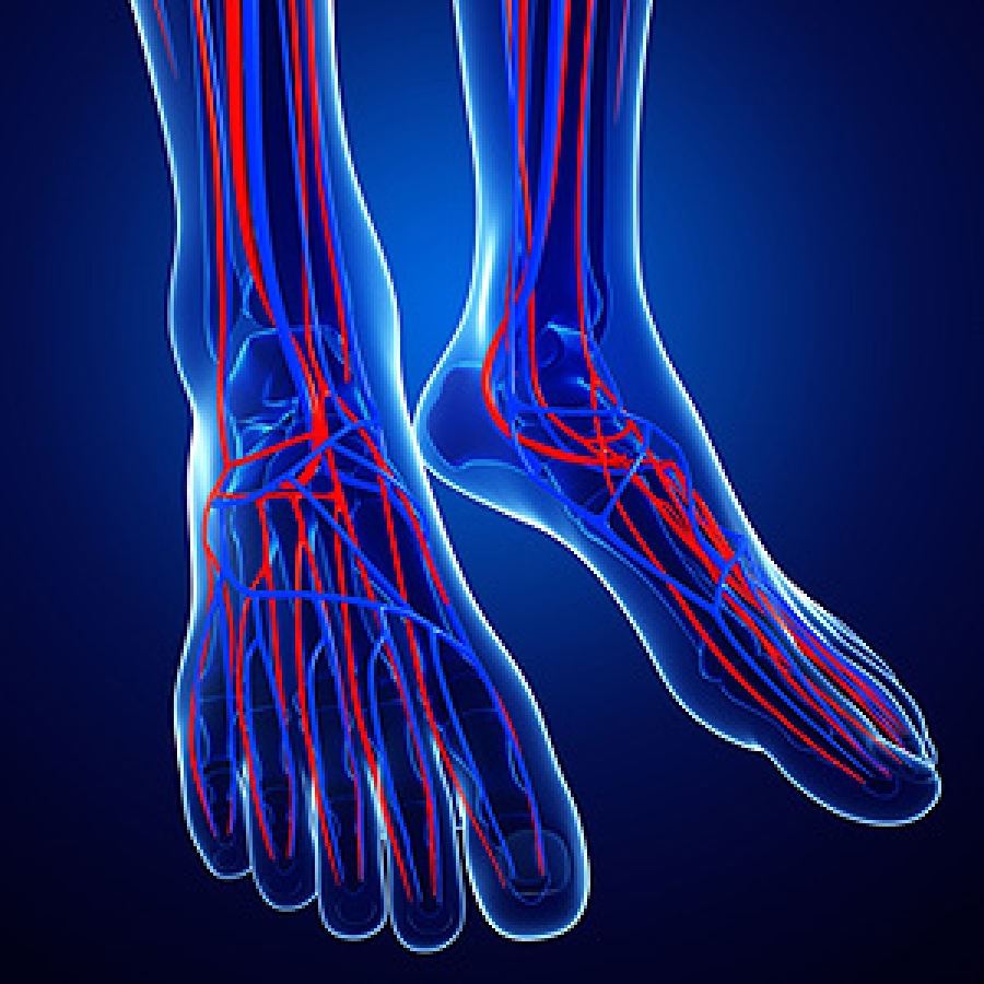 Signs of Poor Circulation in the Feet Signs of Poor Circulation in the Feet